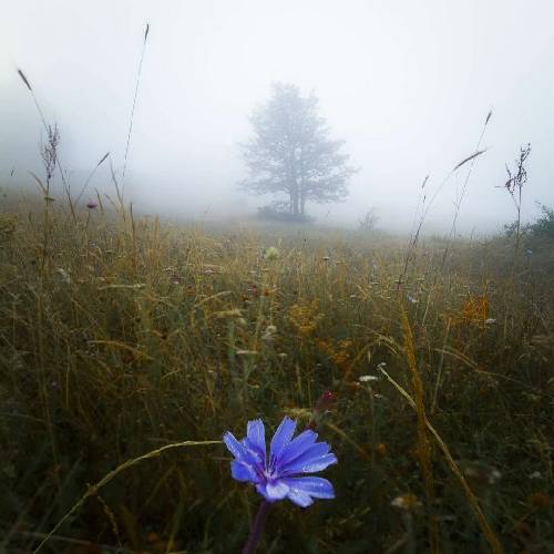 علی بهاری غمای من تو دنیا شدن یه ابر تیره